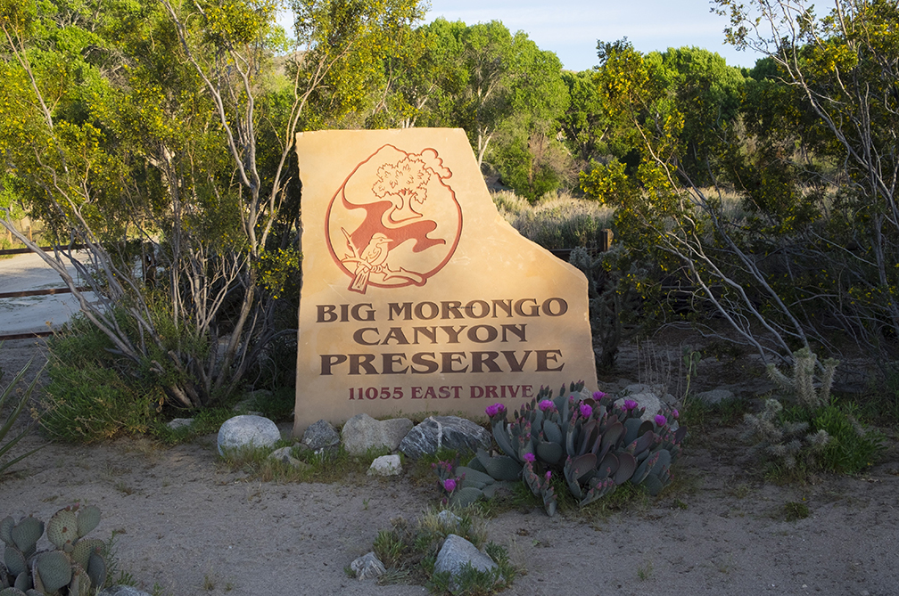 Big Morongo Canyon Preserve, Public Lands Day, Sept 30, 2017